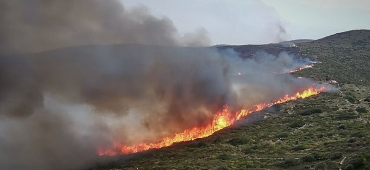 Άνδρος: «Θα βάλω φωτιά» είχε απειλήσει πρόεδρος κοινότητας διαφωνώντας με τους δασικούς χάρτες